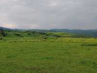 Wusun Historical Site: Echoes of a Millennium on the Grasslands  