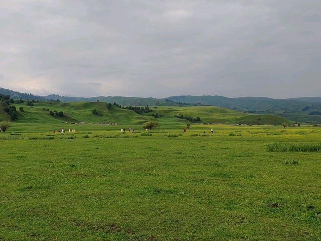 Wusun Historical Site: Echoes of a Millennium on the Grasslands  