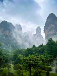 Zhangjiajie Forest Park, Avatar Vibes and Sky High Views