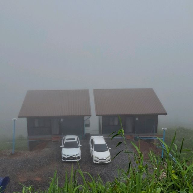 ตามล่าหมอกภูทับเบิก