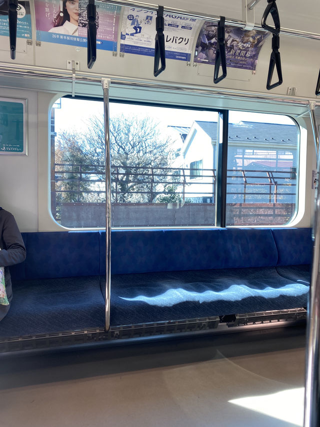 Tokyo Day Trip Idea - Kamakura and Enoshima 