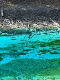 Aqua Terror: Jiuzhaigou’s Liquid Jade Insurgency