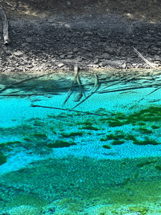 Aqua Terror: Jiuzhaigou’s Liquid Jade Insurgency