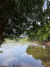 Serene Pit Stop: LakeSide@SIC’s Tranquil Turn