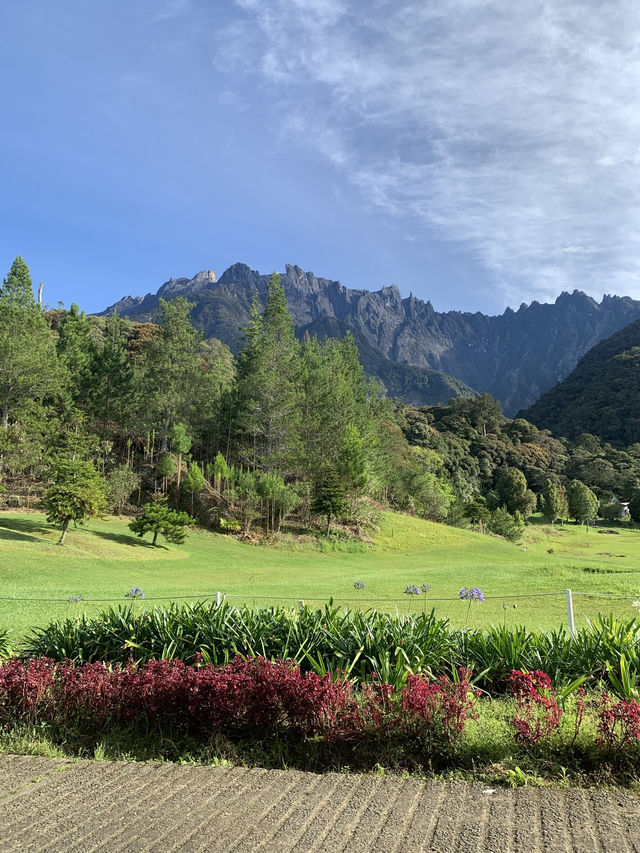 Scenic Mornings at D’Lengkuas, Mesilau