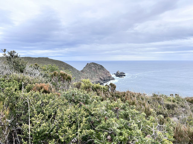 Bruny Island – เกาะเล็กๆ ที่เต็มไปด้วยความทรงจำ