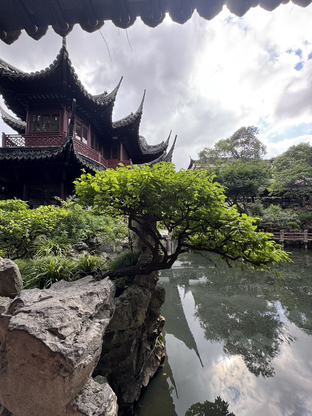上海 三日快閃特色之旅～ 🐻🐼估唔到又幾好玩😆