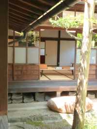 【観光スポット紹介】岐阜県高山市 昔ながらの街並みを歩く