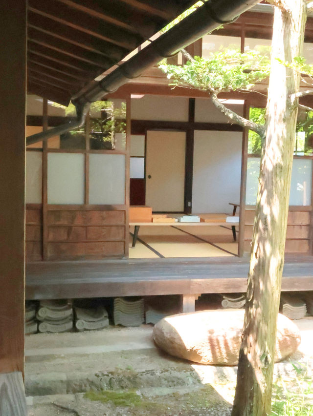 【観光スポット紹介】岐阜県高山市 昔ながらの街並みを歩く