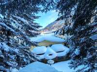 Snow Town Fairytale: The Winter Charm of Mushroom Houses