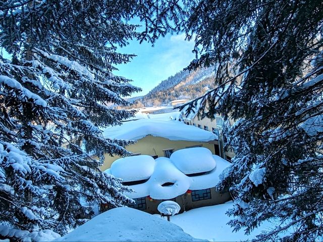 Snow Town Fairytale: The Winter Charm of Mushroom Houses