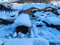 Snow Town Fairytale: The Winter Charm of Mushroom Houses