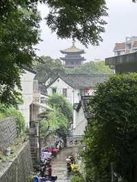 In The Pines Above The City: A Quiet Climb To Wangxian
