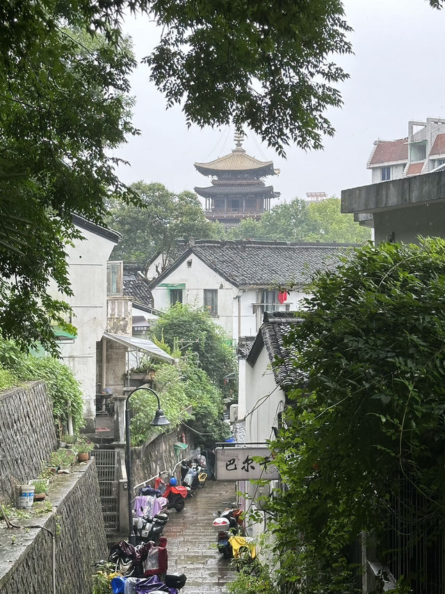 In The Pines Above The City: A Quiet Climb To Wangxian