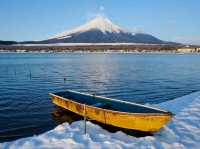 Peaceful Scenery