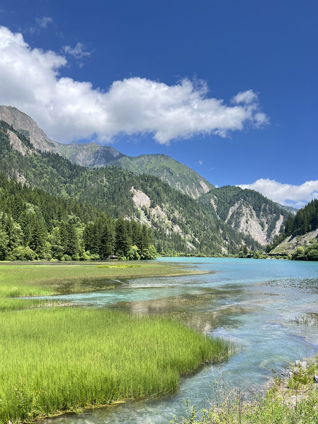 Jiuzhaigou — Stunning views, but we gave up halfway 😂