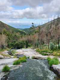 Fresh Dips and Forest Vibes at Piscinas Naturales