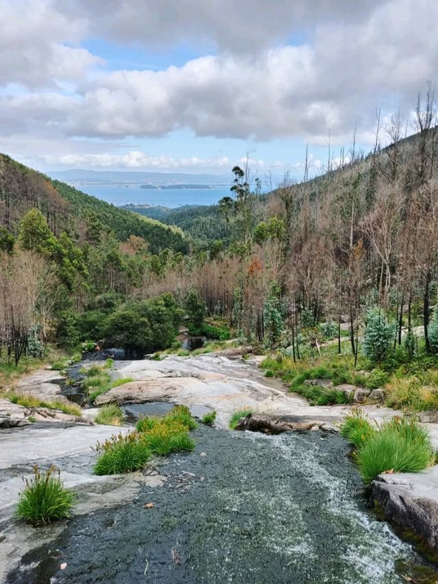 Fresh Dips and Forest Vibes at Piscinas Naturales