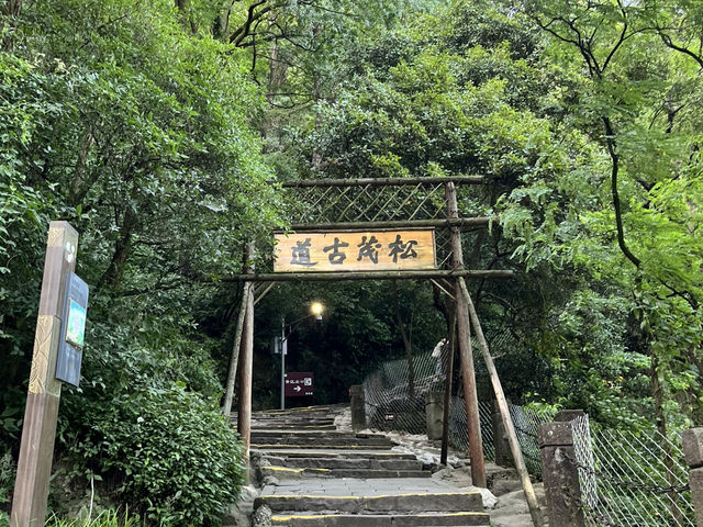 🌿 Escape to Dujiangyan 都江堰 — Where Nature, History & Serenity Meet