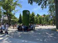 Toronto island Park 