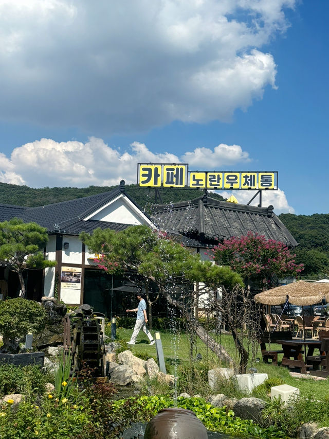 은행나무 카페추천 합니다!!