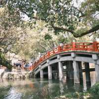 福岡-太宰府天滿宮