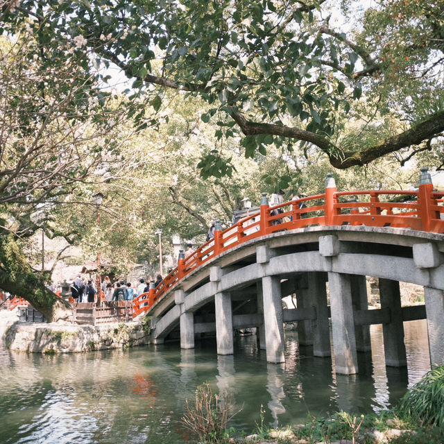 福岡-太宰府天滿宮