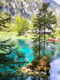 💙Blausee — A Blue Dream Hidden in the Swiss Forest
