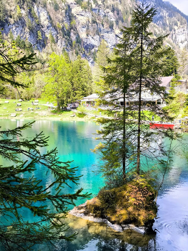 💙Blausee — A Blue Dream Hidden in the Swiss Forest