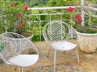 Sirao Flower Farm – A Colorful Escape in Cebu