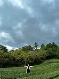 My beloved Jeju Island (p2)