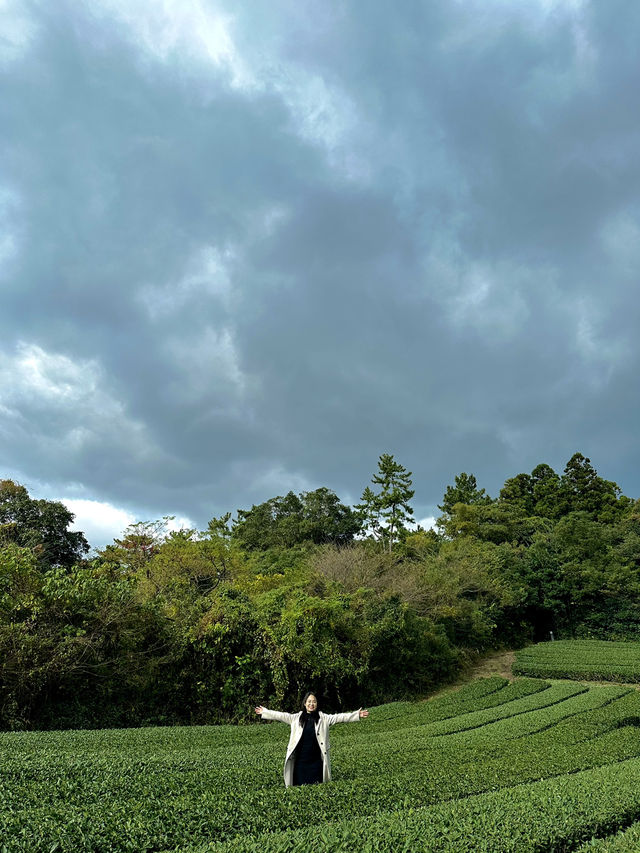 My beloved Jeju Island (p2)