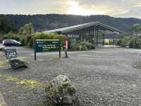 Another accessible Glacier - Fox Glacier 