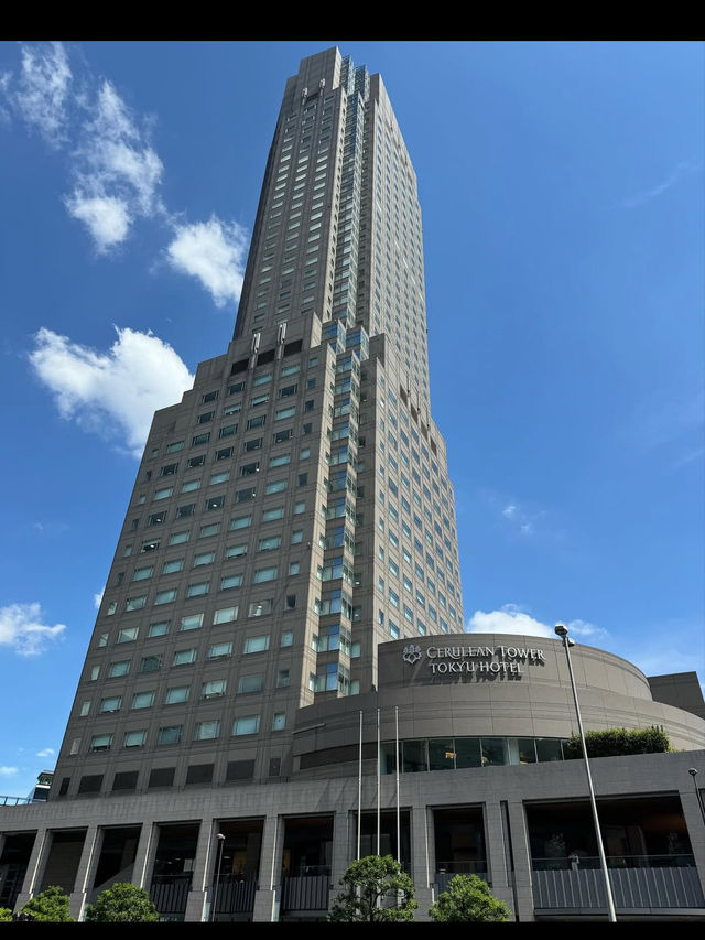 【渋谷の上空で大人ステイ✨セルリアンタワー東急ホテル】