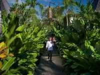 A Memorable Visit to Ubud, Bali