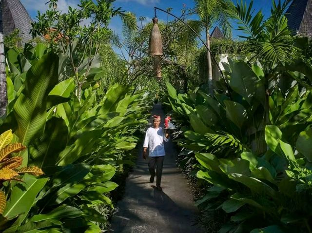 A Memorable Visit to Ubud, Bali