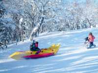 กิจกรรม Snow Valley
