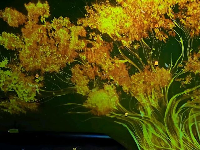 Enchanted forest light show at the Greenhouse