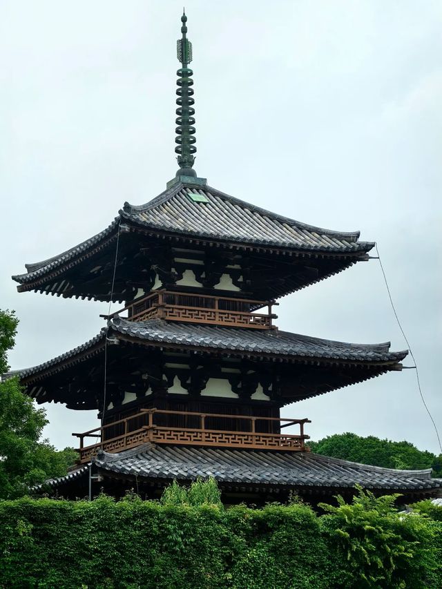 古典聖境—本向寺