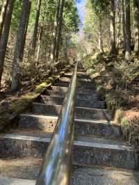 【山梨・山中湖村】⛰️石割山〜富士山が大展望できる穴場登山スポット〜 