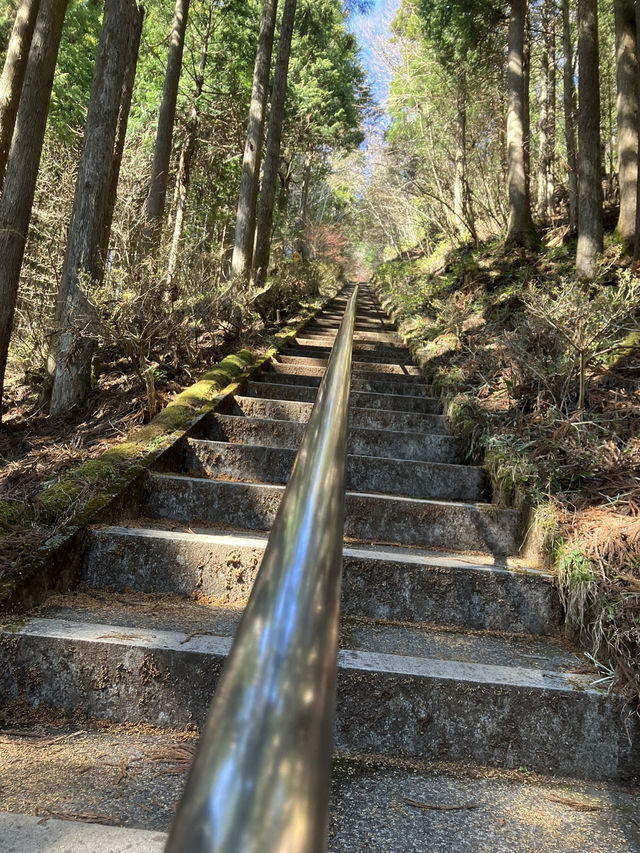 【山梨・山中湖村】⛰️石割山〜富士山が大展望できる穴場登山スポット〜 