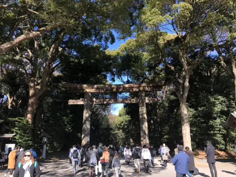 在城市森林中尋求心靈平靜：東京明治神宮遊記