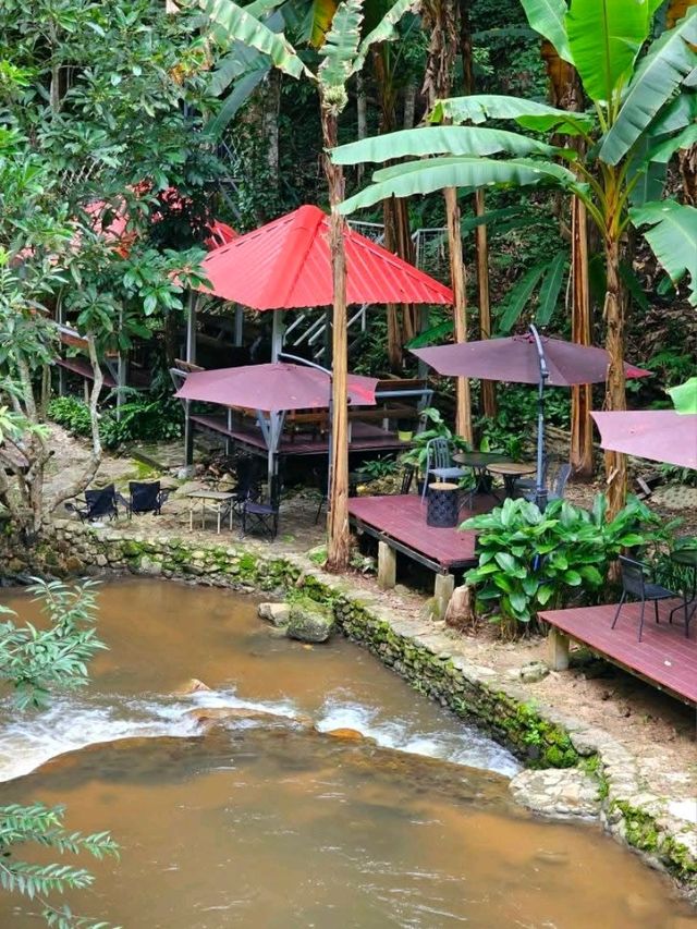 คาเฟ่ สัมผัสธรรมชาติ ที่ปางไฮ