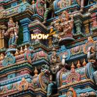 ๐ฟ Discover the Charm of De Badulla, Sri Lanka!