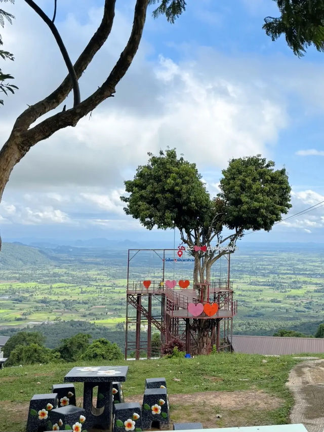 บ้านสวนชมวิว ต้นไม้หัวใจ (Heart tree house)