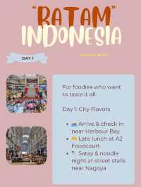 🇮🇩 Batam Itinerary 12: Street Food Lover’s Crawl 🍢🍜