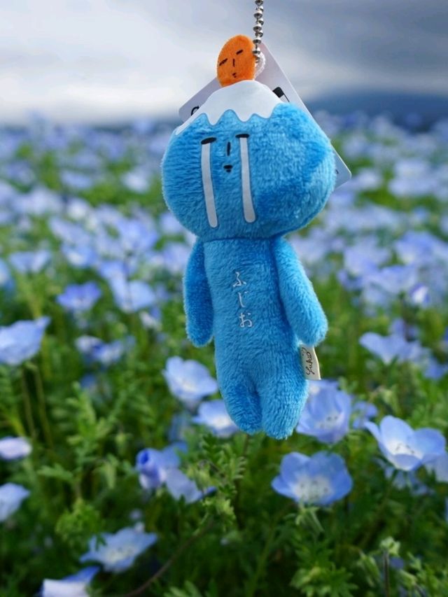 五月的河口湖🏞🏔藏着一片會飛嘅藍💙💙