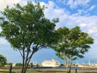 🌸 横浜新港中央広場の紫陽花から、ワールドポーターズ散策、エアキャビンで桜木町へ戻る旅