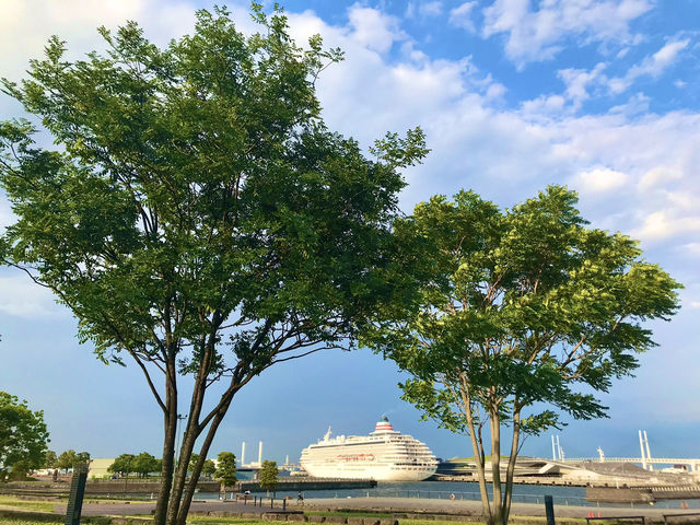 🌸 横浜新港中央広場の紫陽花から、ワールドポーターズ散策、エアキャビンで桜木町へ戻る旅