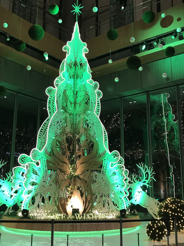 🌲2020年 東京丸の内クリスマスツリー と2025年に乞うご期待❣️